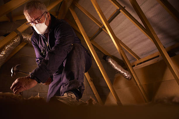 Best Eco-Friendly Insulation in Oak Lawn, IL
